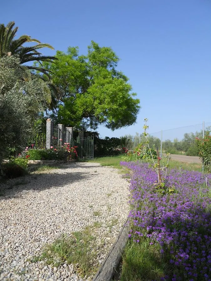 La Aragonesa Guest House Marmolejo